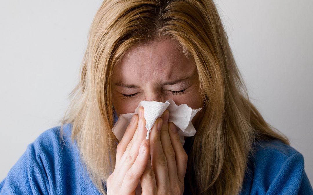 the Influenza flu